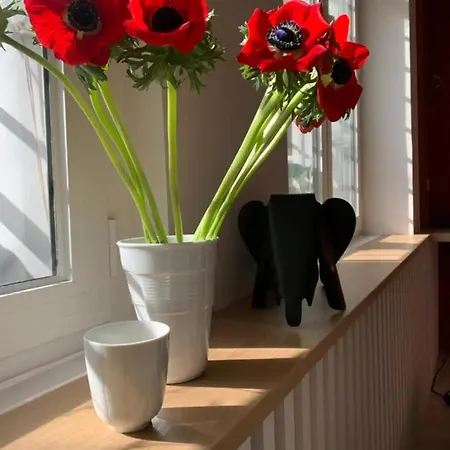 Appartamento Duplex Loft 